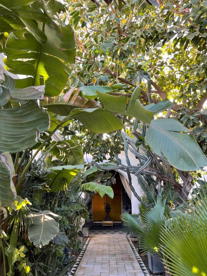 Dar El Gaied Hotel เนเบิล ภายนอก รูปภาพ